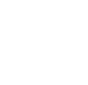 Logo von bgi