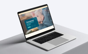 Webseite der Tierarztpraxis in Hausen am Bussen mit einem Ferkel im Arm auf einem Laptop