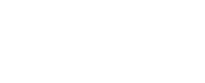 Logo von Praxl Licht- & Tontechnik mit p im Kreis