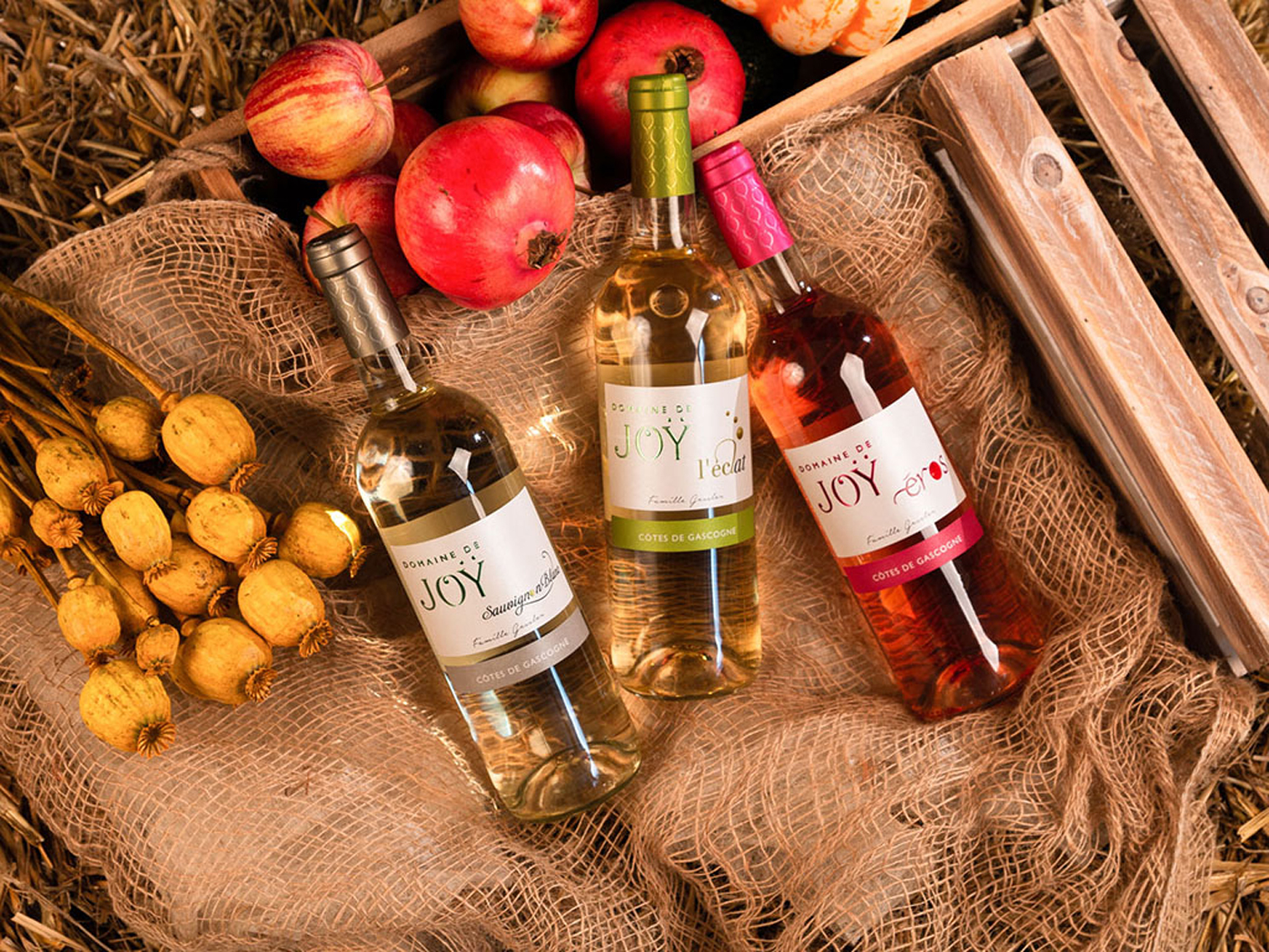 Werbefotografie – Unternehmensfotos x-mind Bodenseeregion